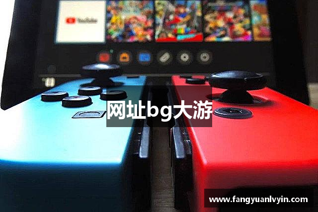 网址bg大游